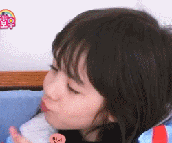 小狗搞笑沙雕表情包1