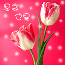 海南方言表情图10 海南方言表情图10