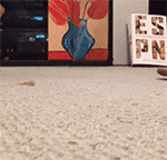 腊八节表情包祝福4 腊八节表情包祝福4