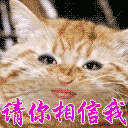 有个性的一个表情包5