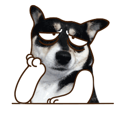 这么神奇吗岳云鹏动漫表情包11