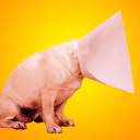 爱情的表情符号图5 爱情的表情符号图5