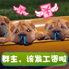 动漫小屁孩表情包可爱2