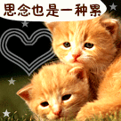 哈利波特梦幻星云表情8 哈利波特梦幻星云表情8