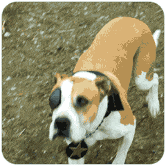 表情包拍一拍你的爱情来了8 表情包拍一拍你的爱情来了8