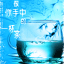 猫咪不能fu吸表情包12