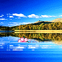 劳力士恶搞表情包4