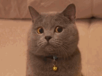 动漫生气撅嘴表情6