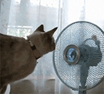 8张奢求的iphone表情符号10