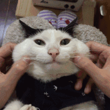 qq可爱的表情包图片 小头8