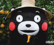 逗比爱情句子1 逗比爱情句子1