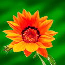 函数表情包动图6 函数表情包动图6