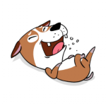 给予爱情的表情包11