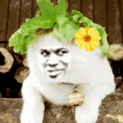 微信经典微表情哪个表示尴尬9 微信经典微表情哪个表示尴尬9