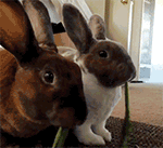 有心事的动漫表情12 有心事的动漫表情12