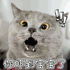 沙雕日本大佐表情包4 沙雕日本大佐表情包4