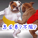 喇叭倒了祝福的表情包7