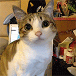 群里冻住了表情包7 群里冻住了表情包7