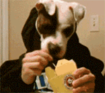 元旦送去远方的朋友祝福表情2