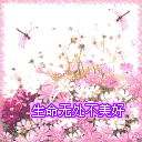 杰瑞鼠表情包沙雕5