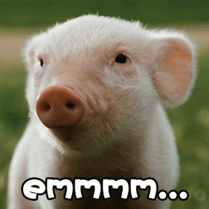 爱情公寓全员合照9