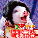 那个傻子相信爱情表情包12 那个傻子相信爱情表情包12