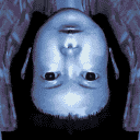 许愿爱情表情包7 许愿爱情表情包7