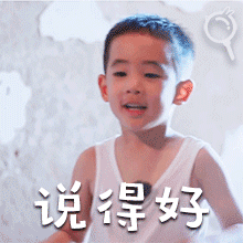 动漫猫咪打键盘的表情包2