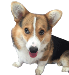 推荐15张腹肌的表情图片大全15