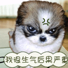 最恐怖的笑容表情包9 最恐怖的笑容表情包9