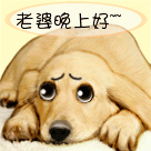 精选10组一把的斗图表情包12 精选10组一把的斗图表情包12