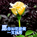 沙雕表情包新闻8 沙雕表情包新闻8