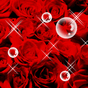 美好祝福动态表情包4 美好祝福动态表情包4