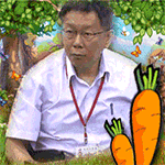 精选12组打卡的表情图片9