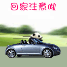 2023年元旦祝福表情图12 2023年元旦祝福表情图12