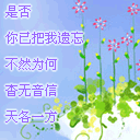 计算机系表情包6 计算机系表情包6