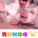 小狐狸表情包手绘4