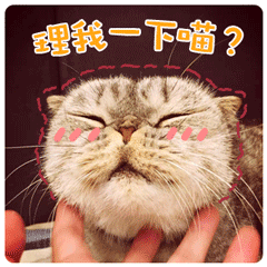 爱情到期续费表情包5 爱情到期续费表情包5