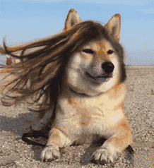 骂人用的qq表情符号7 骂人用的qq表情符号7