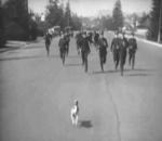 恶搞兔我没生气表情包图片3