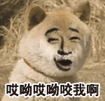 吃瓜子动态图表情图14 吃瓜子动态图表情图14