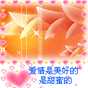 巴哥犬搞怪表情1 巴哥犬搞怪表情1