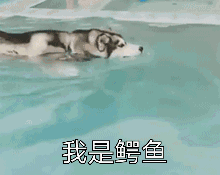 和爱情擦肩而过的表情8 和爱情擦肩而过的表情8