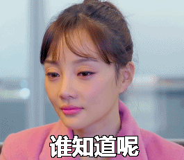 仓鼠表情包原图不带字7 仓鼠表情包原图不带字7