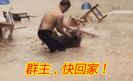 张学友微信三连表情包5