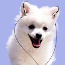 恶搞熊猫表情包带n1 恶搞熊猫表情包带n1