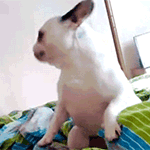 精选15组孤独的文字表情2 精选15组孤独的文字表情2