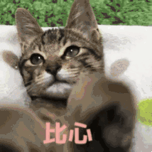 卧槽表情包美女2