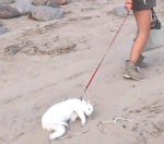 搞笑的表情大全9 搞笑的表情大全9