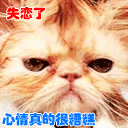 最污的文字表情包2